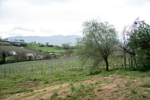Casale Godenza – Photos 3
