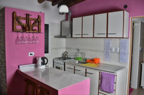 Kuchyň nebo kuchyňský kout v ubytování Cabañas de Montaña El Barranco