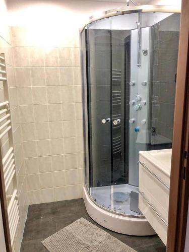 a shower with a glass door in a bathroom at Chalupa U Potoka in Říčky