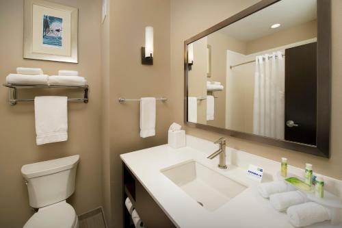 a bathroom with a sink and a toilet and a mirror at Holiday Inn Express Hotel & Suites Waco South by IHG in Waco