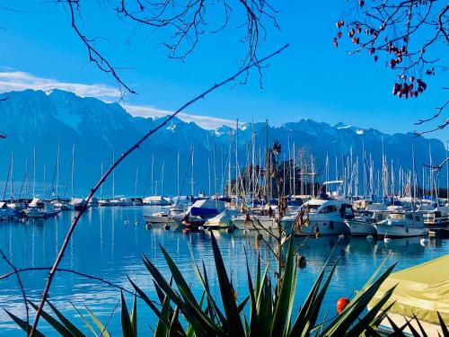 Photo de la galerie de l'établissement Central Studio with Lake View | 102, à Montreux