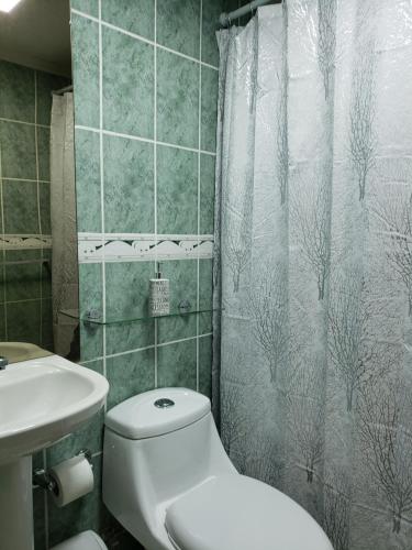 La salle de bains est pourvue de toilettes et d'un rideau de douche. dans l'établissement Casa Ohiggins, à La Calera