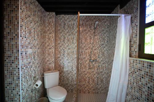 a bathroom with a toilet and a shower at Riad Mounana fez luxurious palace & spa in Fès