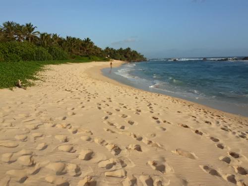 a beach with footprints in the sand and the ocean at South Sea Villa in Midigama