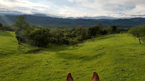 Complejo La Catalina – Photos 3