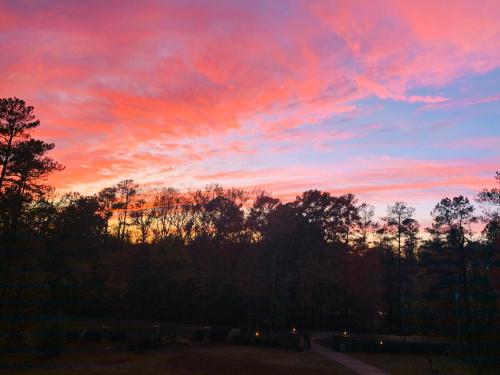 Φωτογραφία από το άλμπουμ του Chateau D'Amour σε Wake Forest