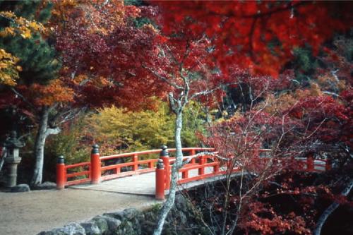 a bridge in a garden with autumn leaves at Miyajima Shiro in Miyajima