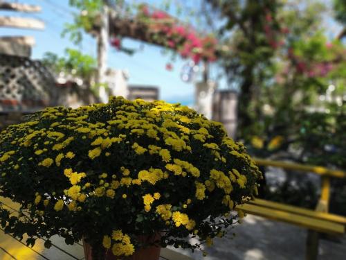 a pot of yellow flowers sitting on a bench at Confetti House in Quy Nhon