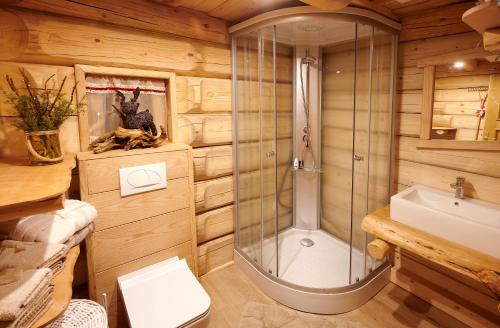 y baño con ducha y lavamanos. en Glamping Lake Bloke en Nova Vas