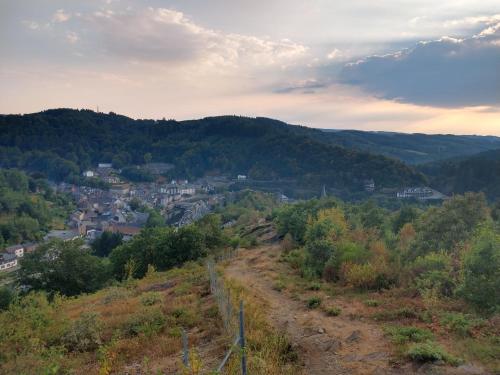 a view of a town from a hill at Ardennature vakantiehuizen met privé-sauna in La Roche-en-Ardenne