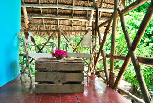 Zahrada ubytování Sagando Bungalows Zanzibar
