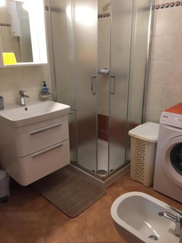 a bathroom with a shower and a sink and a washing machine at Apartment Banko in Umag