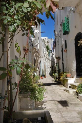 an alley with white buildings and plants on the side at Agriturismo Salinola in Ostuni