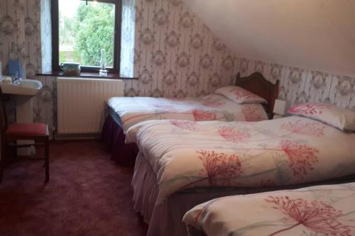 Habitación de hotel con 2 camas y ventana en Bessies Cottage, en Ahoghill
