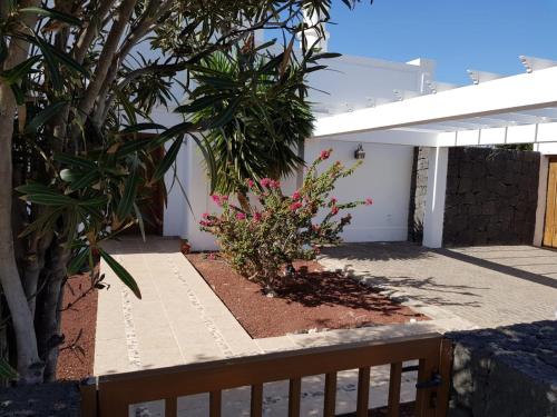 Villa Papagayo