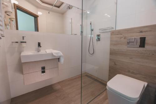 a bathroom with a toilet and a sink and a shower at Skałka Zieleniec in Duszniki Zdrój