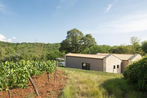a building in a field next to a vineyard at Villa Ulmus in Karojba