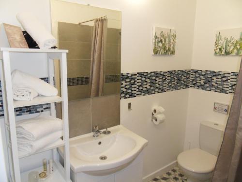 a bathroom with a sink and a toilet at Logis Hôtel Restaurant Les Aubuns in Caissargues