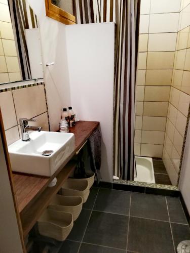 une salle de bain avec un lavabo et une douche dans l'établissement L'usine, à Pont-de-Labeaume