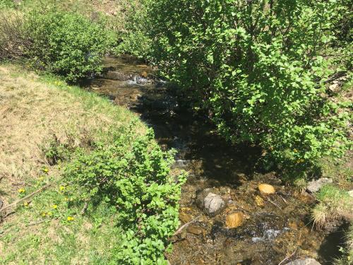 Paesaggio naturale nelle vicinanze dello chalet
