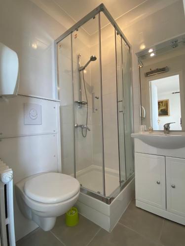 a bathroom with a shower and a toilet and a sink at Belvedere Montargis Amilly in Amilly
