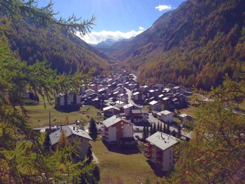 an aerial view of a small village in the mountains at Apartment Rubin by Interhome in Saas-Almagell