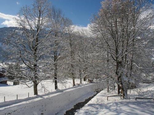 a snow covered path with trees and a fence at Apartment Pony 5-Bettwohnung by Interhome in Lenk