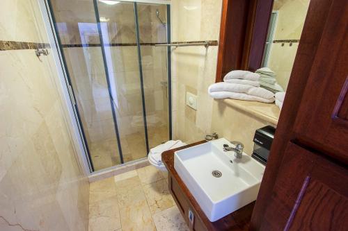 a bathroom with a shower and a sink and a shower at Seaside Apartment Flamingo in Kralendijk