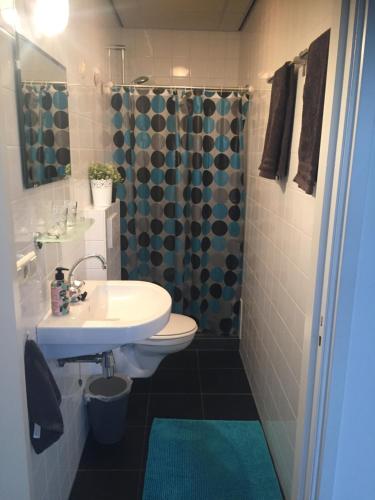 een badkamer met een wastafel, een toilet en een douche bij De Nollen in Egmond aan den Hoef