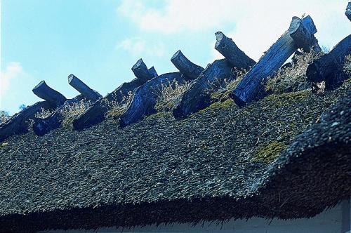 a group of wooden posts on top of a hill at St. Binderup Kro in Store Binderup