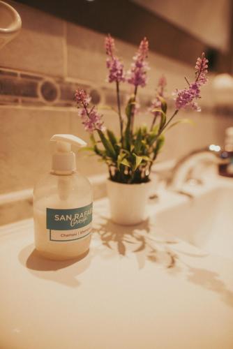 a bottle of san jax soap sitting on a bathroom sink at San Rafael Group Hotel in San Rafael