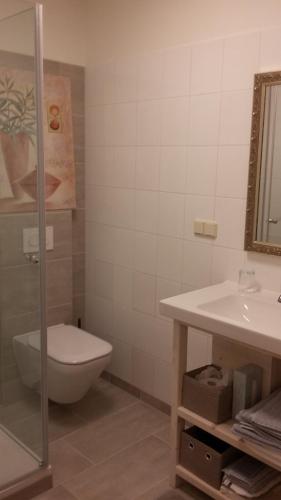 een badkamer met een toilet en een wastafel bij Ruhe des Nordens Appartement in Zittau