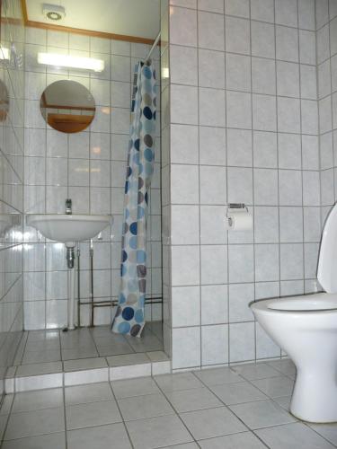 a bathroom with a shower and a toilet and a sink at Jønndalen Høyfjellseter in Uvdal