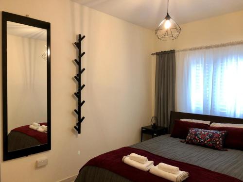 een slaapkamer met een bed en een grote spiegel bij (L.I.H.8) Luxury Industrial House 8 in Nea Paphos