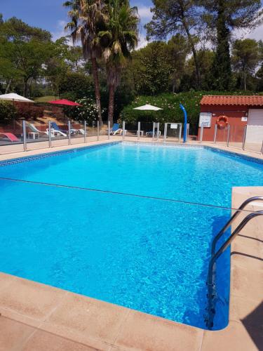 une grande piscine bleue avec chaises et parasols dans l'établissement Appt Hôtel Albatros près côte d'azur, piscine, parking privé, proche du Golf St Donat, à Mouans-Sartoux