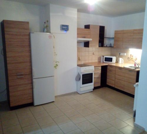 Kuchyň nebo kuchyňský kout v ubytování apartmán U parku