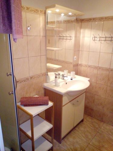 a bathroom with a sink and a shower at apartmán U parku in Volary