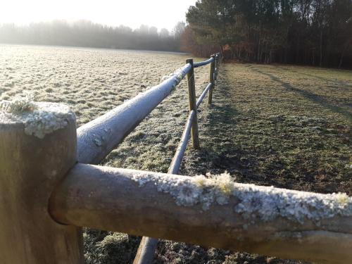 a fence in a field covered in snow at Domaine de l’Escuderia in Parentis-en-Born