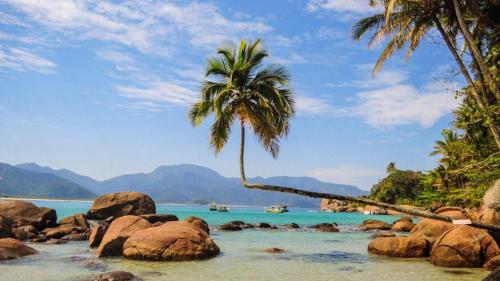 a palm tree on a beach with rocks and water at Descanso do Jordão in Abraão