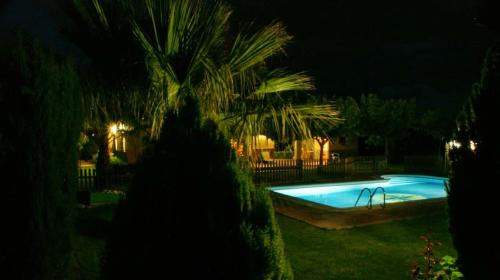 basen w nocy z palmą w obiekcie Casa Rural El Rubial w mieście Cehegín