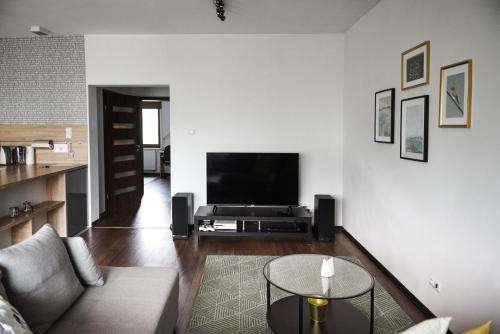 Televízia a/alebo spoločenská miestnosť v ubytovaní Apartament Myślenice