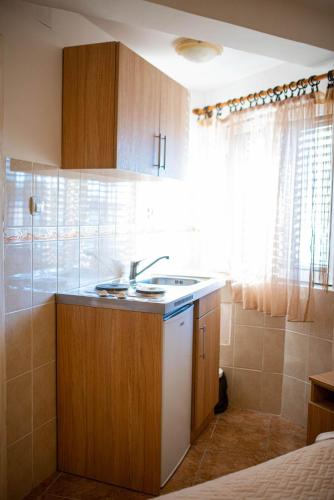 a small kitchen with a sink and a shower at Apartments Marković in Kotor