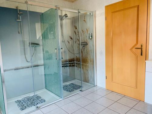 a shower with glass doors in a bathroom at Ferienwohnung Hochwaldblick 1 in Morbach