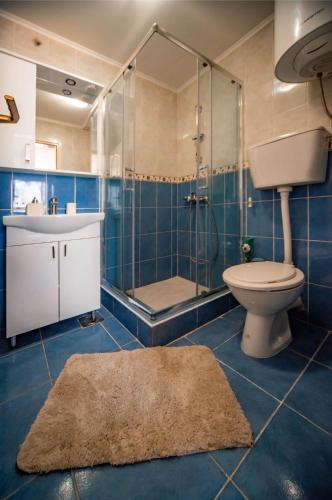a bathroom with a shower and a toilet and a sink at Apartments Marković in Kotor