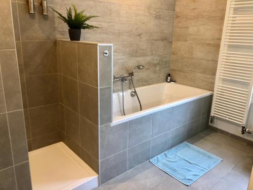 Koupelna v ubytování Charta Appartement