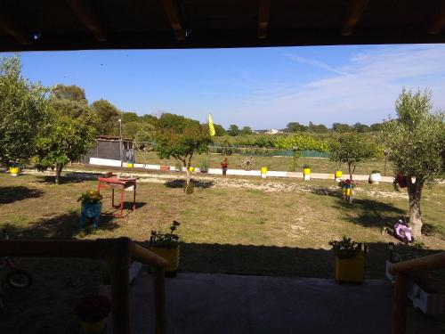 Φωτογραφία από το άλμπουμ του Farma Giannis στη Σάρτη