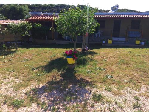 Φωτογραφία από το άλμπουμ του Farma Giannis στη Σάρτη