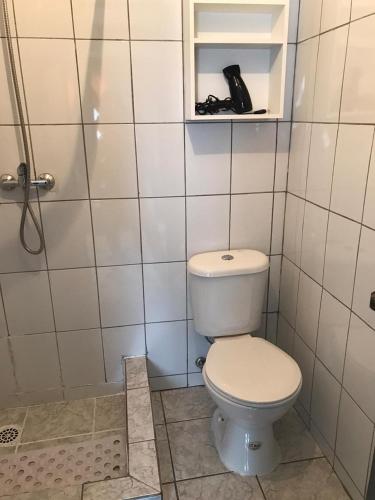 a bathroom with a white toilet and a shower at Mar-al Apartments in Valdivia