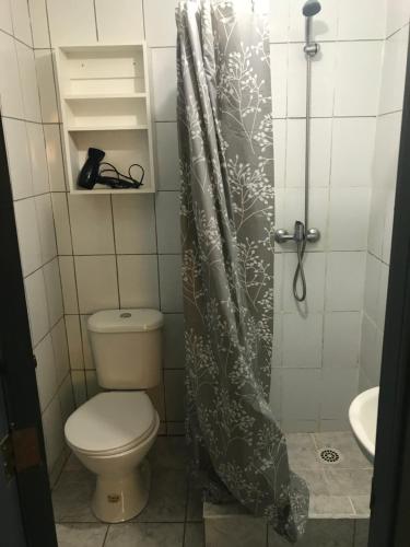 a bathroom with a toilet and a shower curtain at Mar-al Apartments in Valdivia