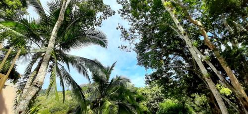 Landskap semula jadi dekat dengan hotel